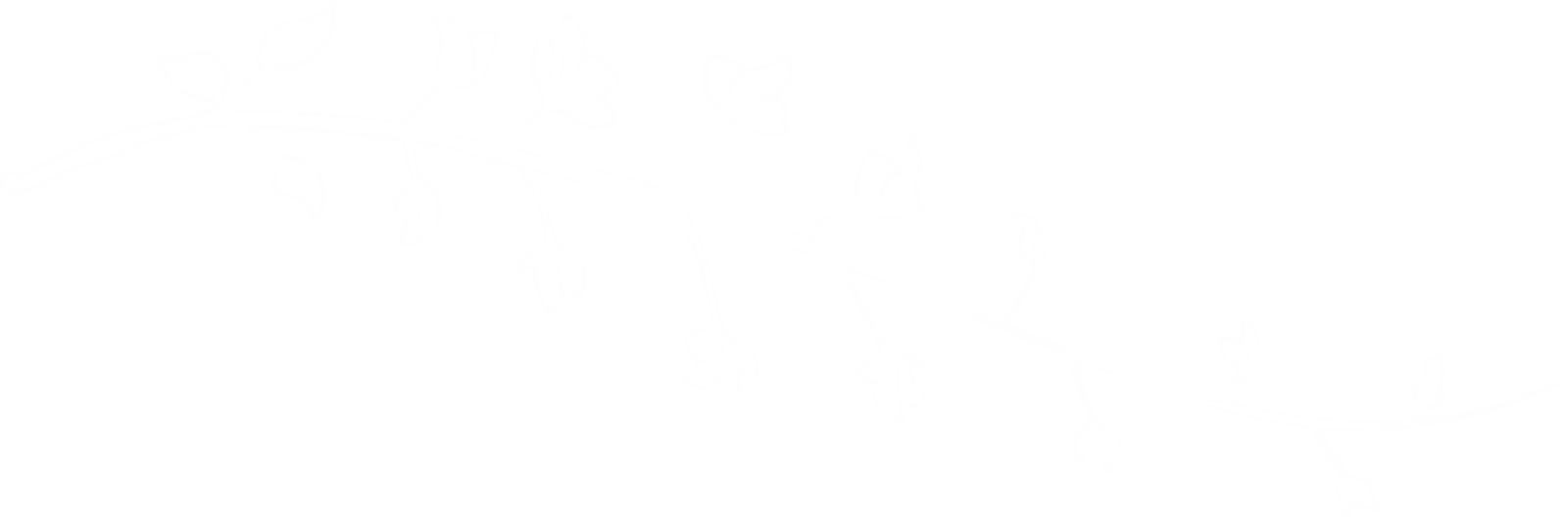 Hojas